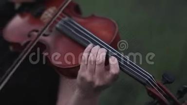 黄昏时分，女小提琴手在<strong>草地</strong>上拉小提琴.